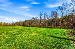 61 Rolling Hills Rd, Mills River, NC 28759 - Photo 40