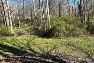 6572 Buckskin Trail, Vale, NC 28168 - Photo 24