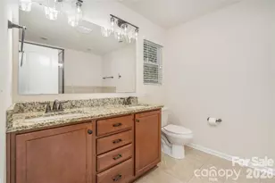 1528 Spring Blossom Trail, Fort Mill, SC 29708 - Photo 16