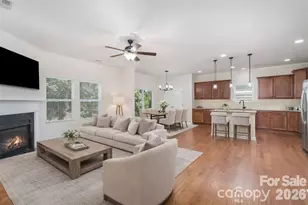 1528 Spring Blossom Trail, Fort Mill, SC 29708 - Photo 6