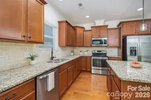 1528 Spring Blossom Trail, Fort Mill, SC 29708 - Photo 10