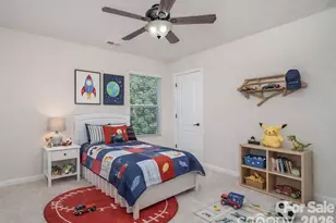 1528 Spring Blossom Trail, Fort Mill, SC 29708 - Photo 24