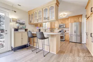 113 Brightwater Heights Dr, Hendersonville, NC 28791 - Photo 20