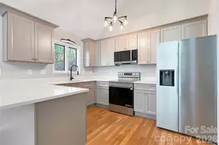 3814 Connestee Trail, Brevard, NC 28712 - Photo 2