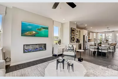 549 Silver Star Boulevard, Indian Trail, SC 28079 - Photo 10