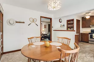 61 Spring Cove Dr, Brevard, NC 28712 - Photo 10