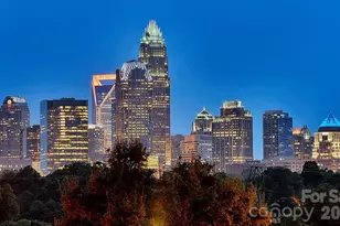 1608 N Davidson St, Charlotte, NC 28206 - Photo 4