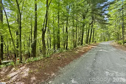 430 N Lakeview Drive, Tryon, NC 28773 - Photo 1