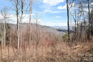000 Curry Comb Trail, Waynesville, NC 28785 - Photo 1