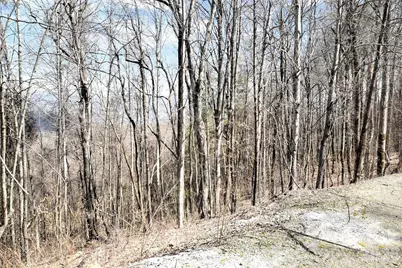 000 Curry Comb Trail #513, Waynesville, NC 28785 - Photo 4