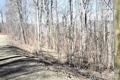 000 Curry Comb Trail #513, Waynesville, NC 28785 - Photo 2