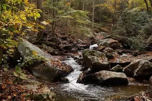 42 Rivercove Ln, Saluda, NC 28773 - Photo 26