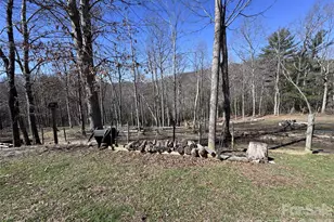 119 Walkabout Trail, Fletcher, NC 28732 - Photo 2