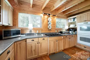 90 Jonestown Rd, Asheville, NC 28804 - Photo 16