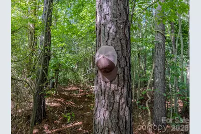 4794 Cauble Road, Mount Pleasant, NC 28124 - Photo 12