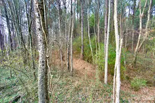 4794 Cauble Rd, Mount Pleasant, NC 28124 - Photo 10