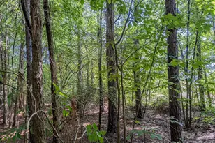 4794 Cauble Rd, Mount Pleasant, NC 28124 - Photo 14