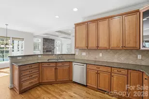 159 Lavender Bloom Loop, Mooresville, NC 28115 - Photo 16