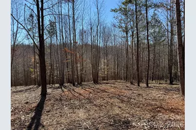 5700 Bentley Ridge Drive #12, Davidson, NC 28036 - Photo 8