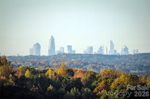 5700 Bentley Ridge Dr, Davidson, NC 28036 - Photo 2