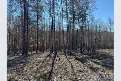 5700 Bentley Ridge Drive #12, Davidson, NC 28036 - Photo 6