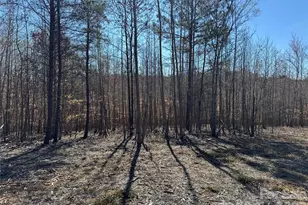 5700 Bentley Ridge Dr, Davidson, NC 28036 - Photo 6