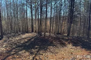 5700 Bentley Ridge Dr, Davidson, NC 28036 - Photo 4