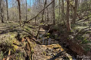 5700 Bentley Ridge Dr, Davidson, NC 28036 - Photo 14