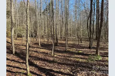 5700 Bentley Ridge Drive #12, Davidson, NC 28036 - Photo 18