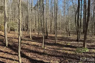 5700 Bentley Ridge Dr, Davidson, NC 28036 - Photo 18