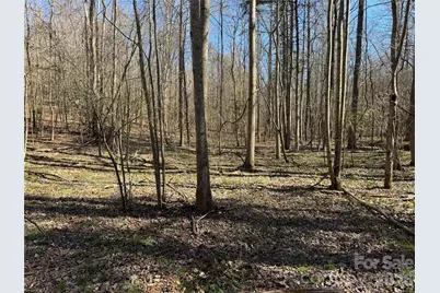 5700 Bentley Ridge Drive #12, Davidson, NC 28036 - Photo 12