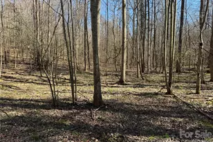 5700 Bentley Ridge Dr, Davidson, NC 28036 - Photo 12