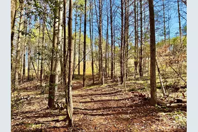 6129 Painted Ridge Trail #Lot 739, Lenoir, NC 28645 - Photo 4