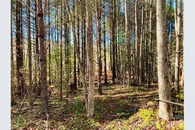 6129 Painted Ridge Trail #Lot 739, Lenoir, NC 28645 - Photo 12