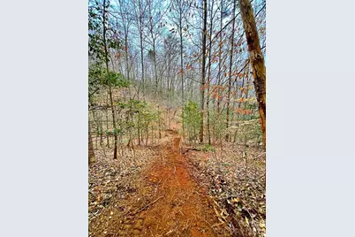 105 Marble Drive, Sylva, NC 28779 - Photo 10