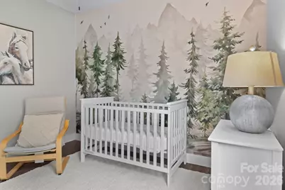 1112 Blueview Drive, Black Mountain, NC 28711 - Photo 10