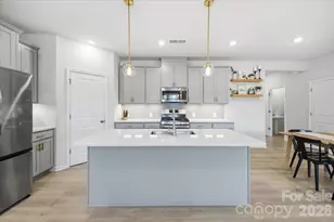 15116 Caspian Wy, Charlotte, NC 28278 - Photo 8