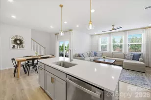 15116 Caspian Wy, Charlotte, NC 28278 - Photo 10