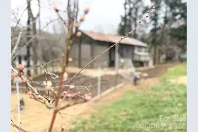 2825 Wendell Street, Lenoir, NC 28645 - Photo 30