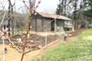 2825 Wendell St, Lenoir, NC 28645 - Photo 30