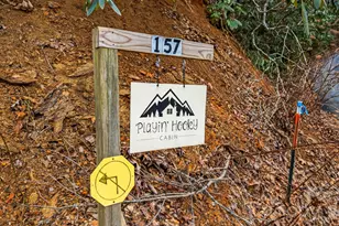 157 Crosspatch Ln, Bryson City, NC 28713 - Photo 36