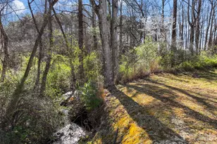 702 Olde Covington Way, Arden, NC 28704 - Photo 2