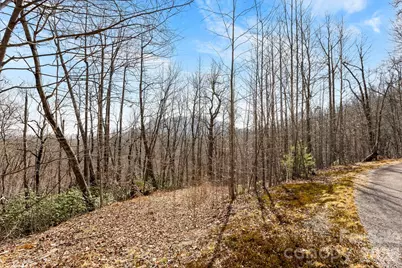 Lot 5 Laurel Mountain Trail, Black Mountain, NC 28711 - Photo 4