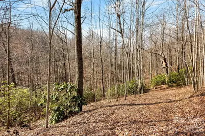 Lot 5 Laurel Mountain Trail, Black Mountain, NC 28711 - Photo 6