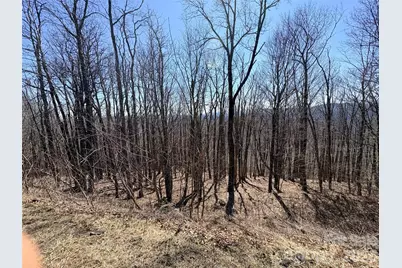 Lot 68 Elk Creek Mountain Parkway, Todd, NC 28684 - Photo 16