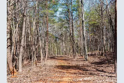 25 Preservation Trail, Columbus, NC 28722 - Photo 32