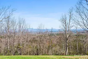 25 Preservation Trail, Columbus, NC 28722 - Photo 24