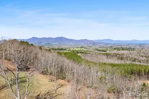 25 Preservation Trail, Columbus, NC 28722 - Photo 34