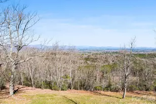 25 Preservation Trail, Columbus, NC 28722 - Photo 26