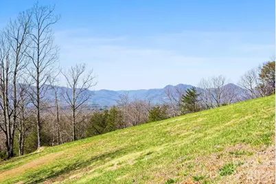 25 Preservation Trail, Columbus, NC 28722 - Photo 16